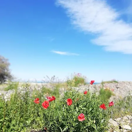 Holiday home Civico33 Rocca Imperiale