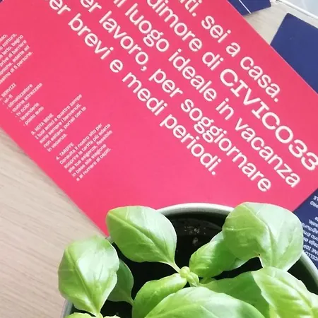 Civico33 *