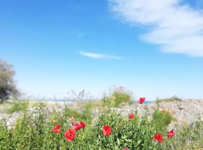 度假居 Civico33 罗卡伊恩佩里亚莱